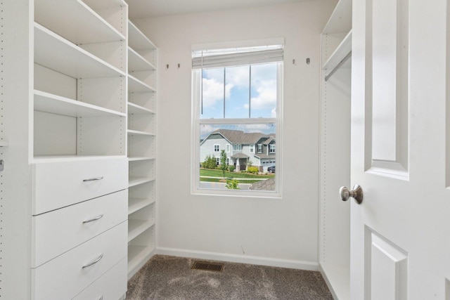 walk in closet with carpet flooring