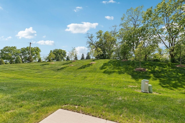 view of grassy yard