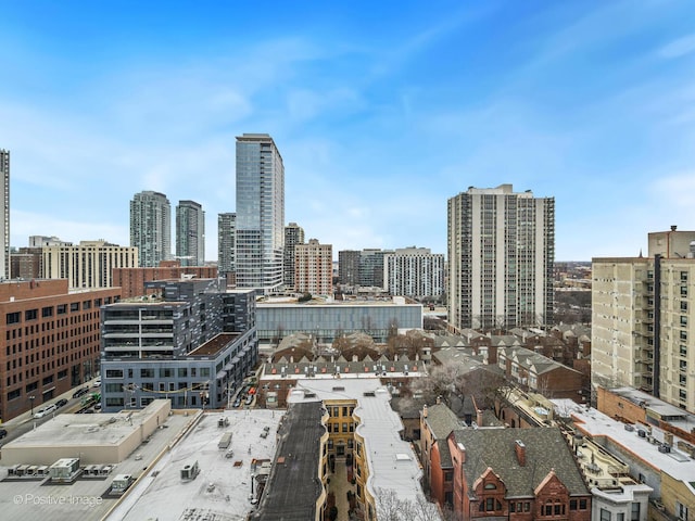 1221 N Dearborn St Unit 1401S, Chicago, IL 60610 - view of city