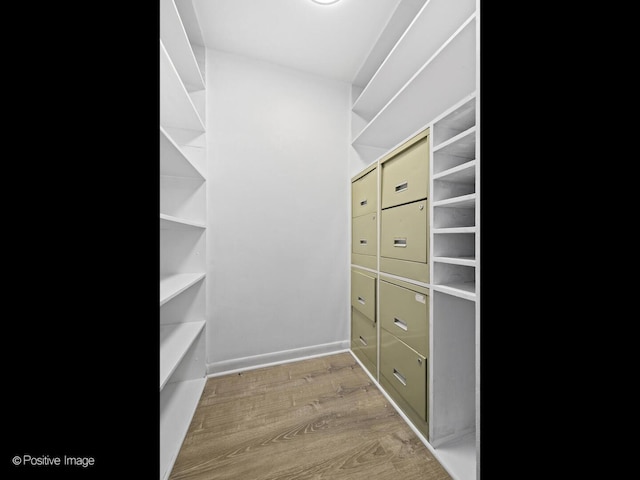 1221 N Dearborn St Unit 1401S, Chicago, IL 60610 - walk in closet featuring light wood-type flooring