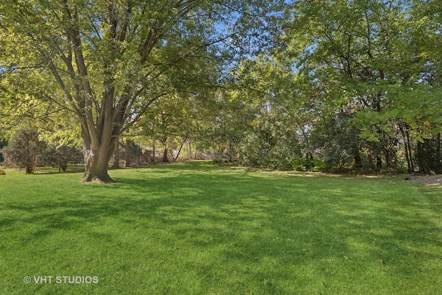 16937 W Jonathan Ln, Gurnee, IL 60031 - view of grassy yard
