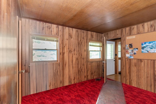 16937 W Jonathan Ln, Gurnee, IL 60031 - unfurnished room with wooden ceiling, wooden walls, and carpet