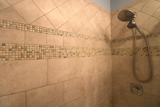2210 Sandburg Dr, Aurora, IL 60506 - bathroom view of tiled shower
