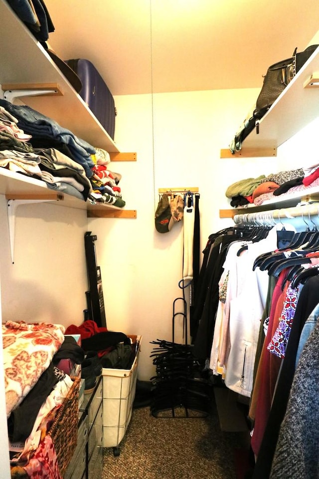 2210 Sandburg Dr, Aurora, IL 60506 - walk in closet with carpet floors