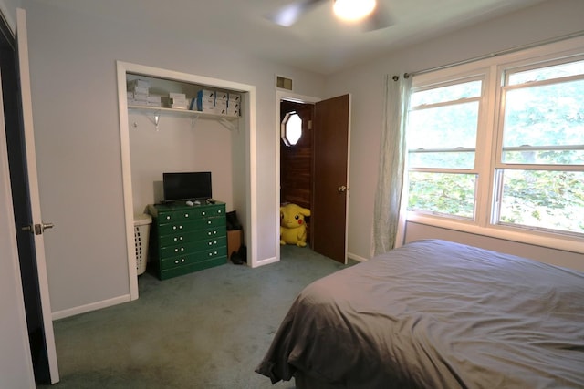 2210 Sandburg Dr, Aurora, IL 60506 - bedroom with carpet floors, a closet, baseboards, and a ceiling fan