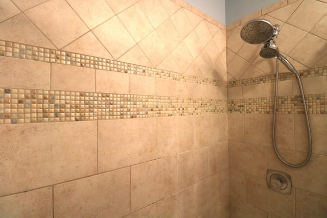 2210 Sandburg Dr, Aurora, IL 60506 - bathroom view of tiled shower