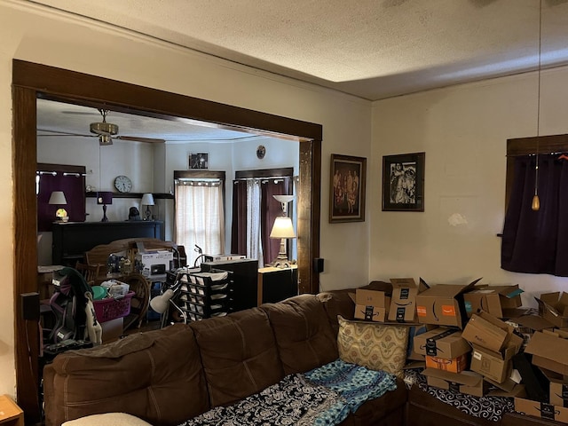 718 Plainfield Rd, Joliet, IL 60435 - living room with a textured ceiling
