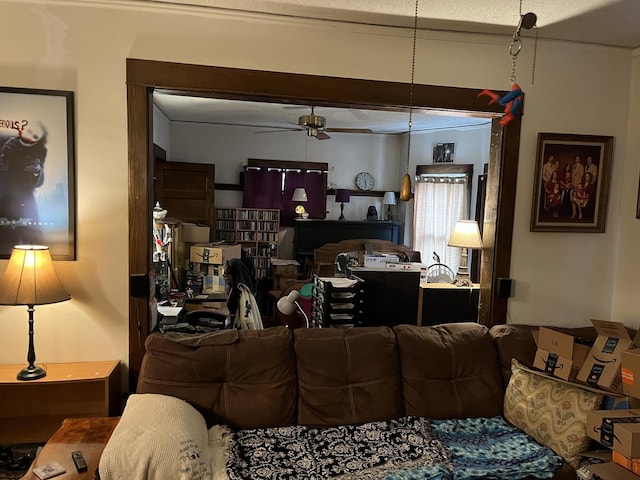 718 Plainfield Rd, Joliet, IL 60435 - living area with a ceiling fan
