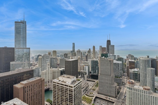 225 N Columbus Dr Unit 6204, Chicago, IL 60601 - city view featuring a large body of water