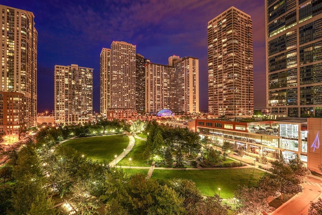 225 N Columbus Dr Unit 6204, Chicago, IL 60601 - city view