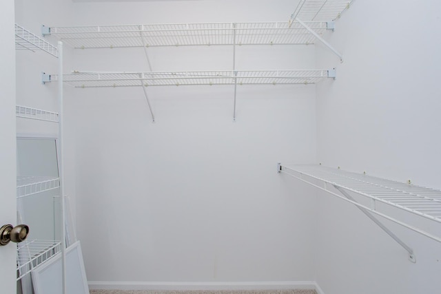 1402 Orange Ct Unit D, Mount Prospect, IL 60056 - view of walk in closet
