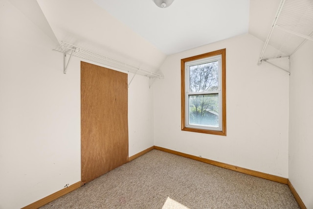 walk in closet with lofted ceiling and carpet flooring