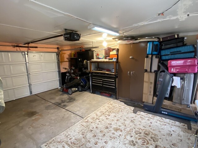 3846 Brummel St, Skokie, IL 60076 - garage featuring a garage door opener