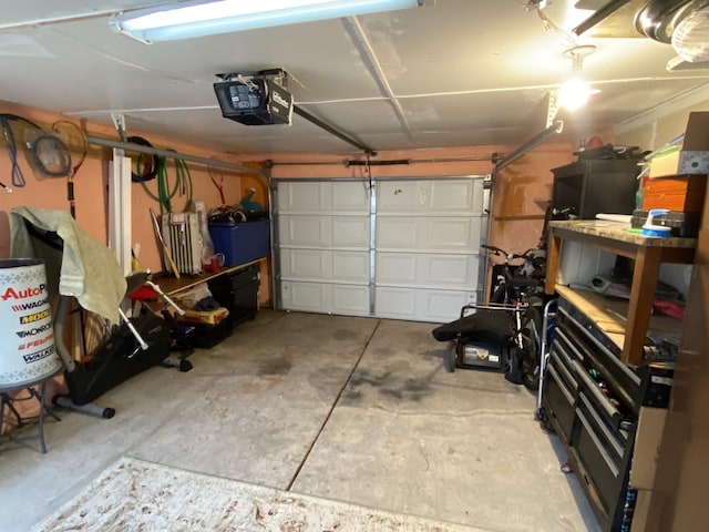 3846 Brummel St, Skokie, IL 60076 - garage with a garage door opener