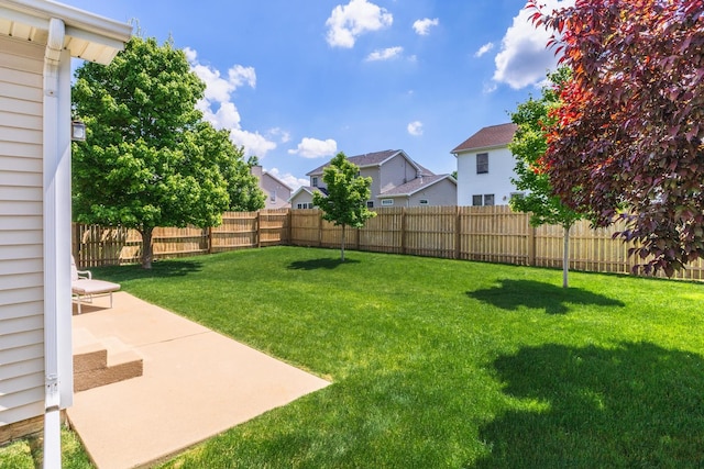 view of yard featuring a patio area and a residential view