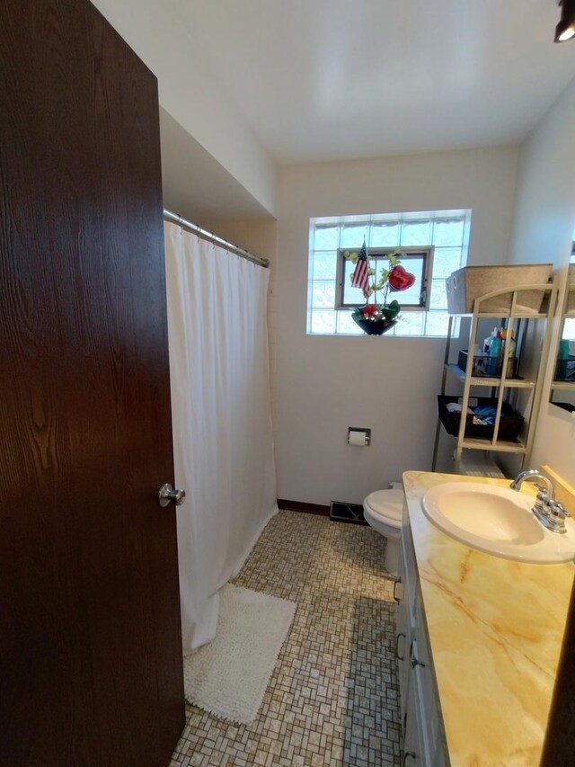 1173 Lucas St, Calumet City, IL 60409 - full bathroom with vanity, toilet, and a shower with shower curtain