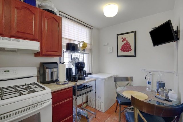 2605 S Indiana Ave Unit 402, Chicago, IL 60616 - kitchen with white range with gas stovetop, under cabinet range hood, light countertops, fridge, and light tile patterned flooring