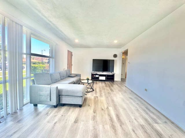 8344 N Milwaukee Ave, Niles, IL 60714 - living room featuring light wood-type flooring and recessed lighting