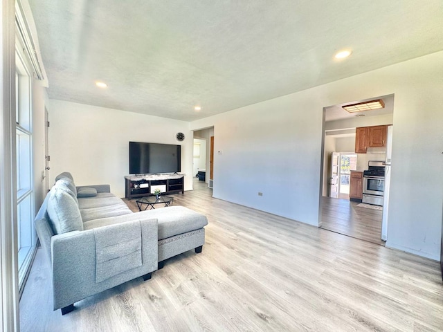 8344 N Milwaukee Ave, Niles, IL 60714 - living room with light wood-style flooring and recessed lighting