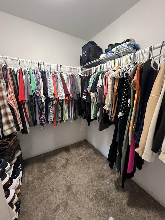 7427 Mccurry Rd, Roscoe, IL 61073 - spacious closet with carpet flooring