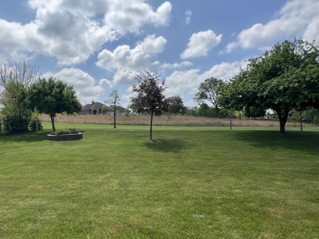 7427 Mccurry Rd, Roscoe, IL 61073 - view of grassy yard