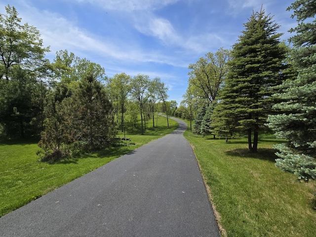 24-114 Lake Carroll Blvd, Lake Carroll, IL 61046 - view of road