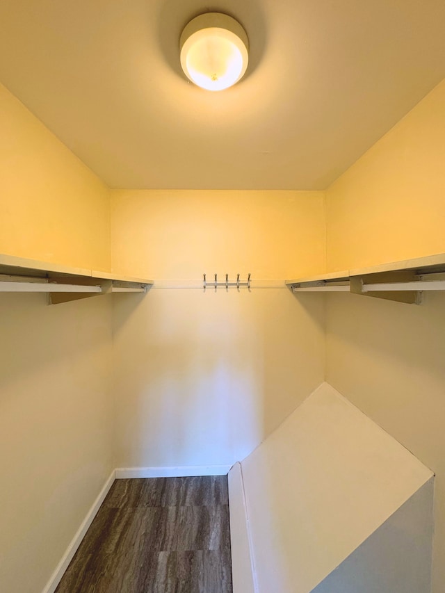 walk in closet featuring dark wood-type flooring