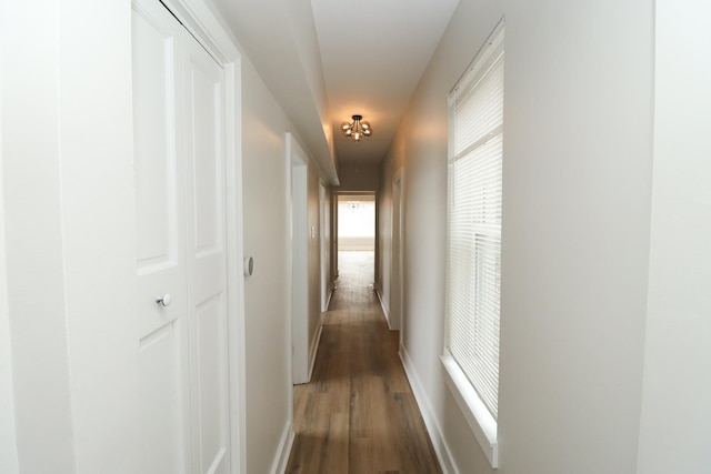 6110 S Saint Lawrence Ave, Chicago, IL 60637 - corridor featuring wood finished floors and baseboards