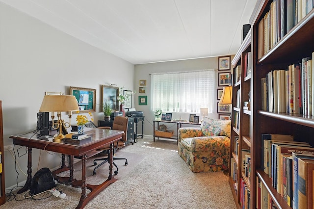 5540 Walnut Ave Unit 26C, Downers Grove, IL 60515 - carpeted office featuring baseboards