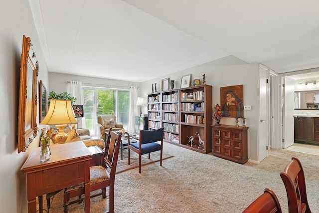 5540 Walnut Ave Unit 26C, Downers Grove, IL 60515 - view of carpeted office