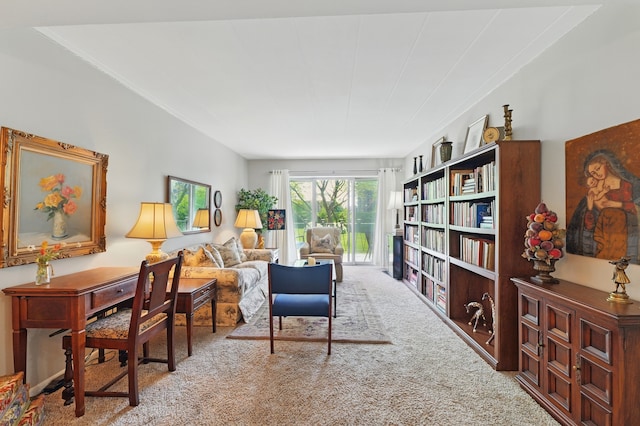5540 Walnut Ave Unit 26C, Downers Grove, IL 60515 - living area with carpet