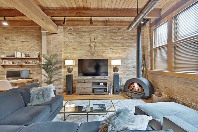 2435 N Sheffield Ave Unit 10, Chicago, IL 60614 - living room featuring wood ceiling, a wood stove, wood finished floors, rail lighting, and brick wall