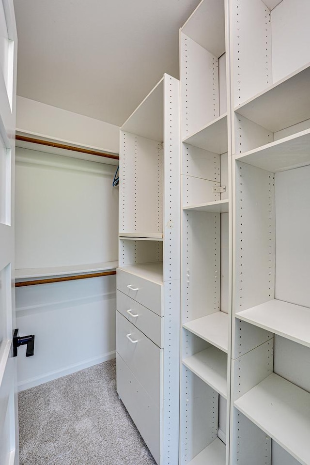 1565 Winberie Ct, Naperville, IL 60564 - walk in closet with light carpet