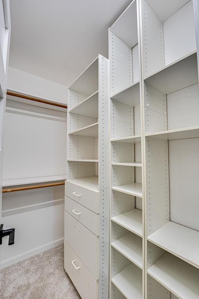 1565 Winberie Ct, Naperville, IL 60564 - walk in closet with carpet