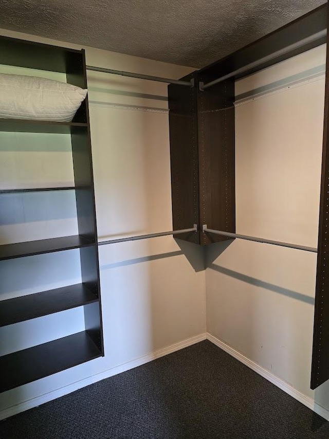 320 N Pearl St, Forrest, IL 61741 - spacious closet with carpet