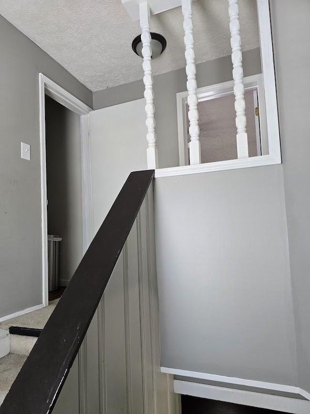 320 N Pearl St, Forrest, IL 61741 - stairway with carpet flooring