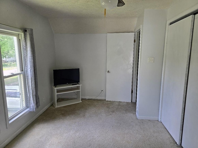 320 N Pearl St, Forrest, IL 61741 - unfurnished room featuring plenty of natural light, carpet floors, a textured ceiling, baseboards, and vaulted ceiling