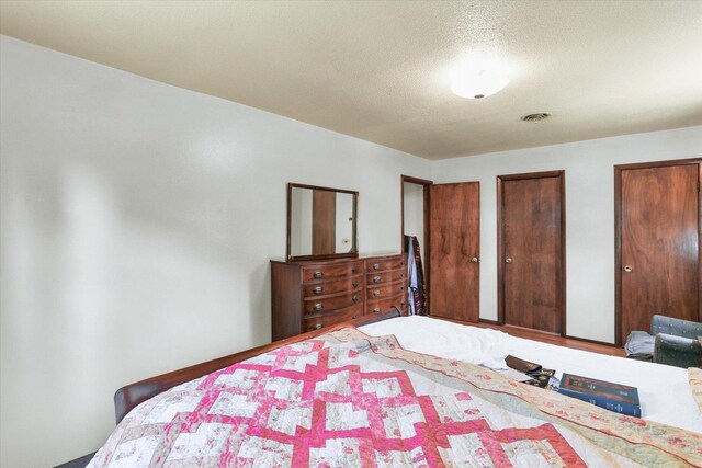 7 Birch Ln, Villa Grove, IL 61956 - bedroom with two closets and a textured ceiling