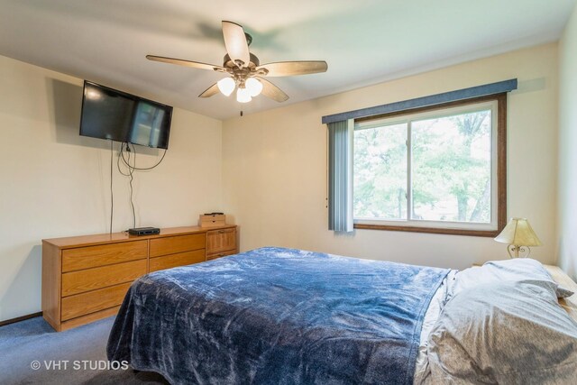 898 Shorewood Dr, Bartlett, IL 60103 - bedroom with carpet flooring and ceiling fan
