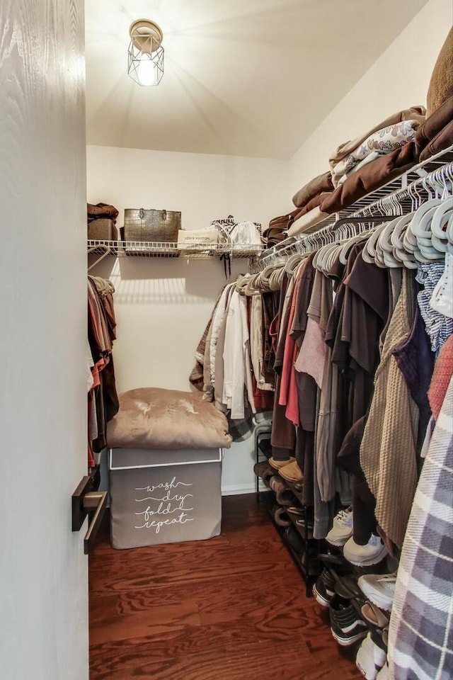 405 W Ivy Ln Unit 4A, Arlington Heights, IL 60004 - spacious closet featuring wood finished floors