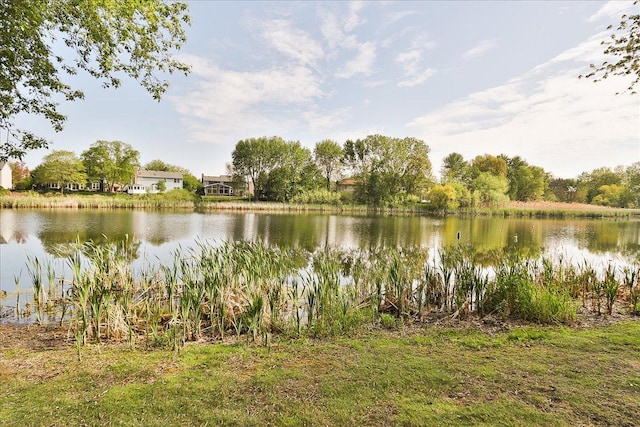 1608 W Ethans Glen Dr, Palatine, IL 60067 - water view