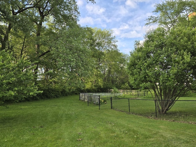 101 4th St, Fisher, IL 61843 - view of yard