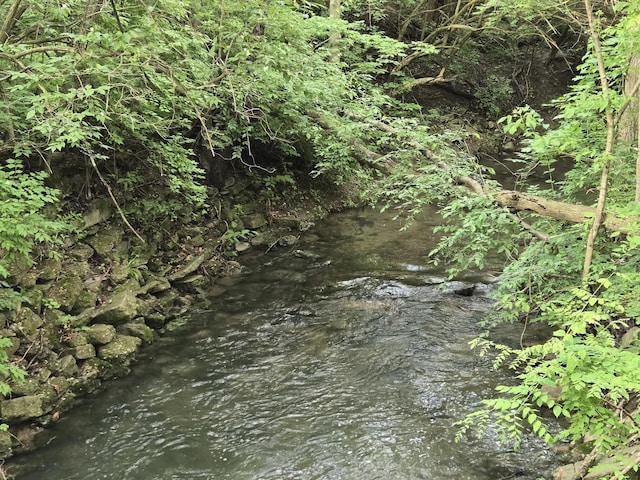 101 4th St, Fisher, IL 61843 - view of local wilderness