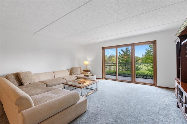 5255 N Riversedge Ter Unit 206, Chicago, IL 60630 - living room featuring carpet floors, baseboards, and a textured ceiling