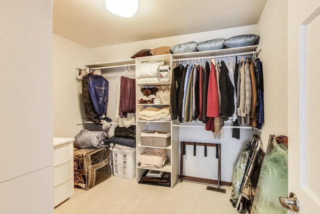 2041 Chatham Dr, Wheaton, IL 60189 - walk in closet featuring carpet