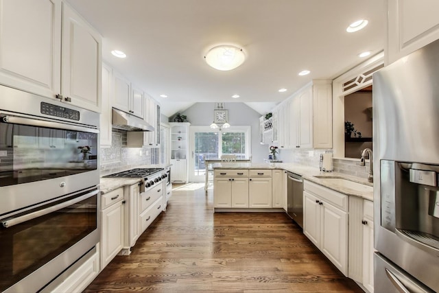 2041 Chatham Dr, Wheaton, IL 60189 - kitchen featuring stainless steel appliances, under cabinet range hood, a sink, lofted ceiling, and a peninsula