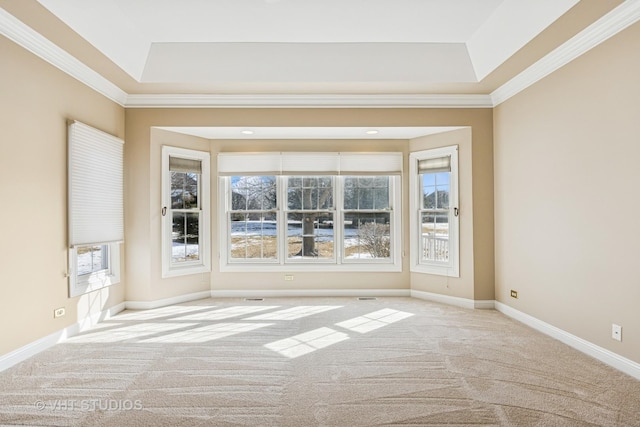 9310 Nicklaus Ln, Lakewood, IL 60014 - carpeted spare room with a raised ceiling, healthy amount of natural light, crown molding, and baseboards