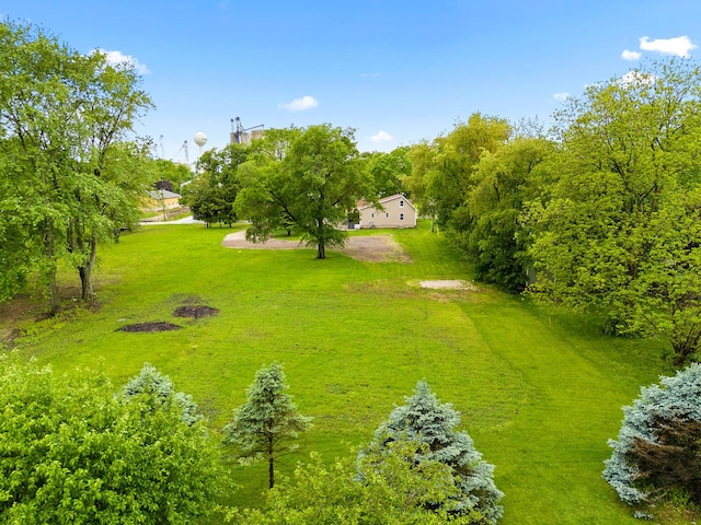 104 S Taylor St, Towanda, IL 61776 - view of yard
