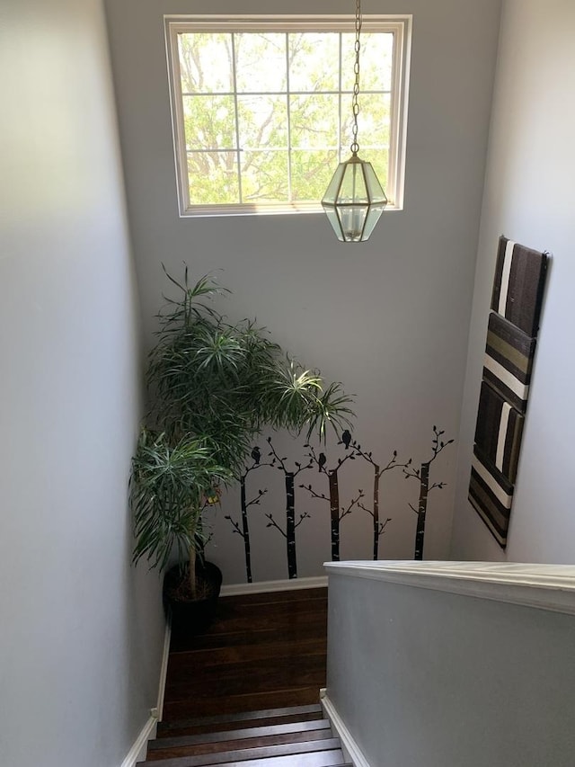 2406 Daybreak Ct, Elgin, IL 60123 - stairs featuring wood finished floors and baseboards