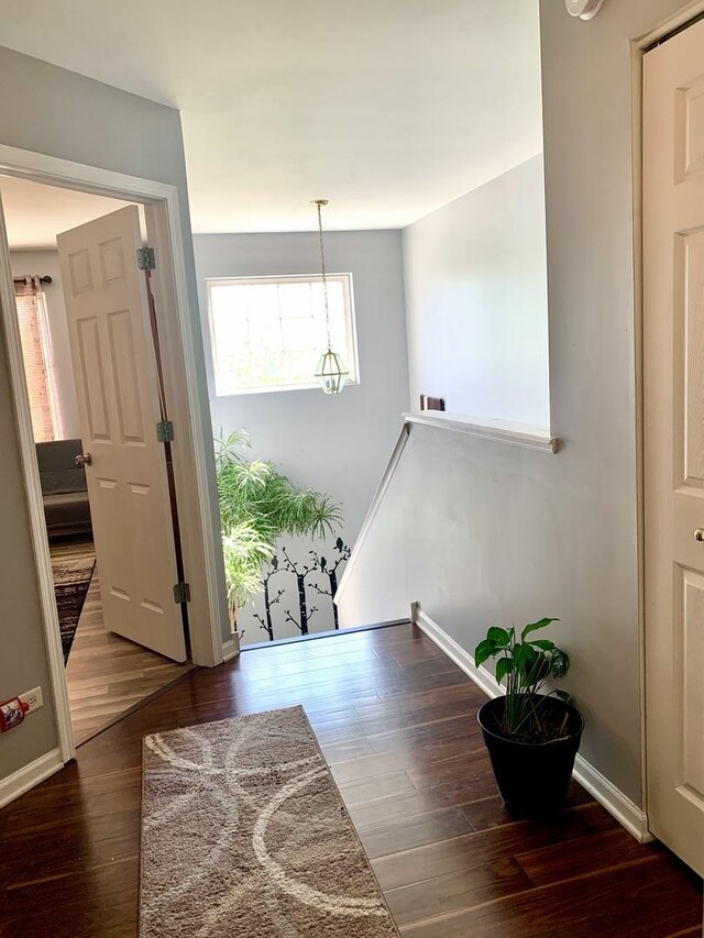 2406 Daybreak Ct, Elgin, IL 60123 - foyer with wood finished floors, a chandelier, and baseboards